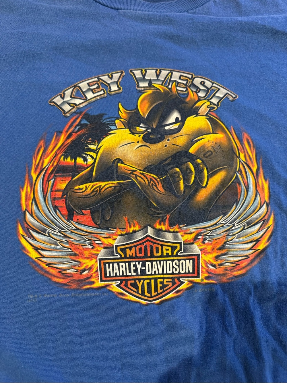 4XL Harley Davidson Key West Florida Taz Looney Tunes Motorcycle t shirt XXXXL